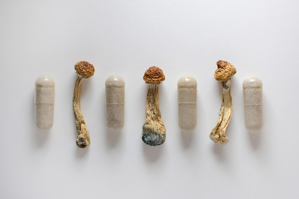 Psychedelic Therapy mushroom dose